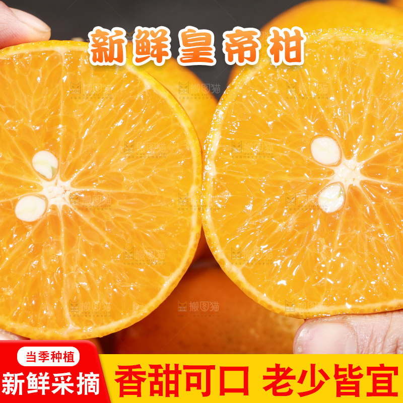 手拿切开的皇帝柑