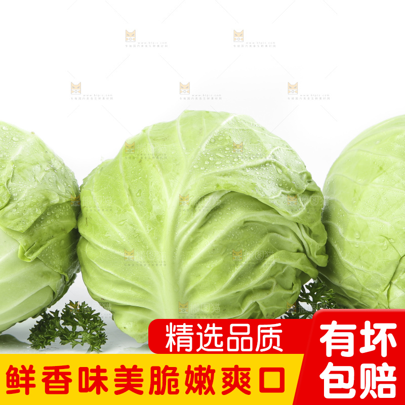 白底上摆放着包菜