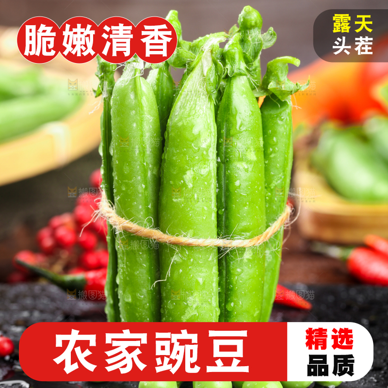 黑底上放着一捆新鲜豌豆荚