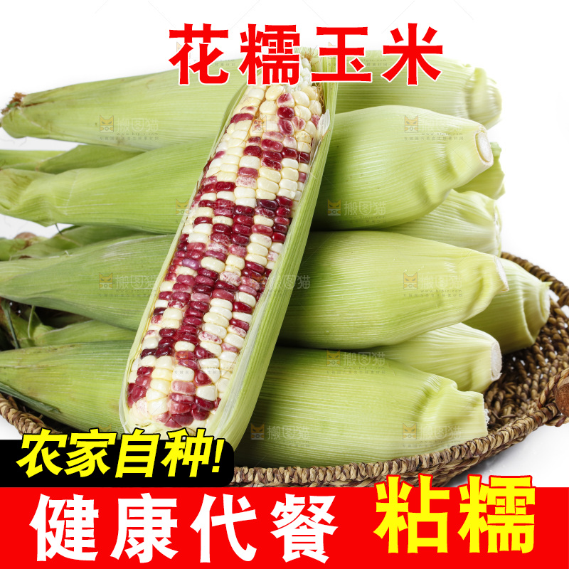 白底上放着一盘花糯玉米