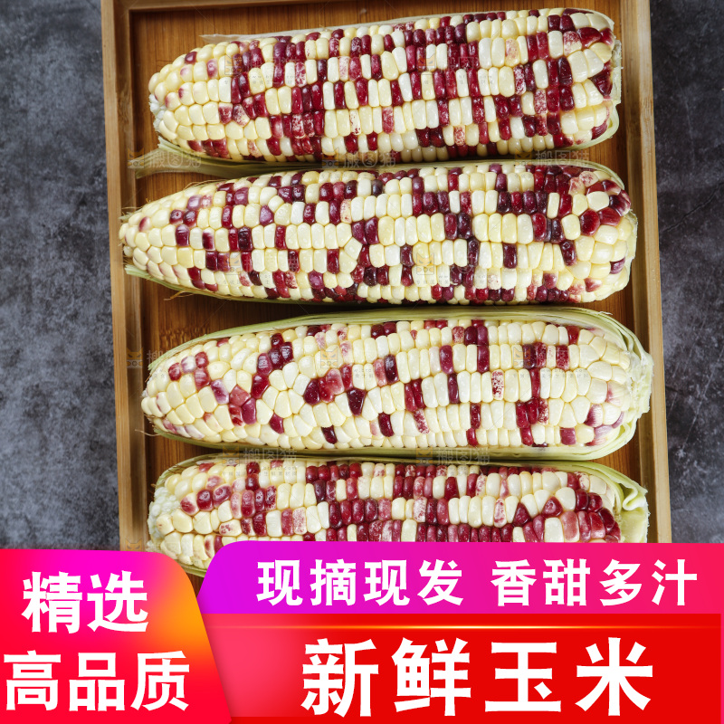 石板上放着一盘玉米