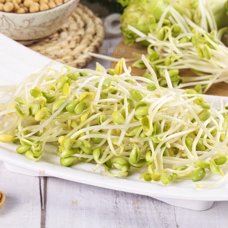 盘子里的豆芽