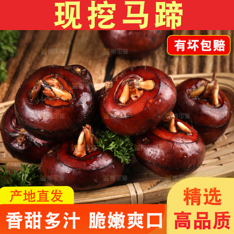 篮子里的红马蹄