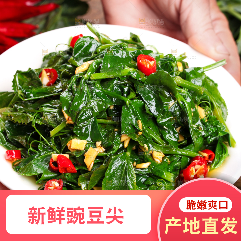 盘子里装着炒豌豆尖