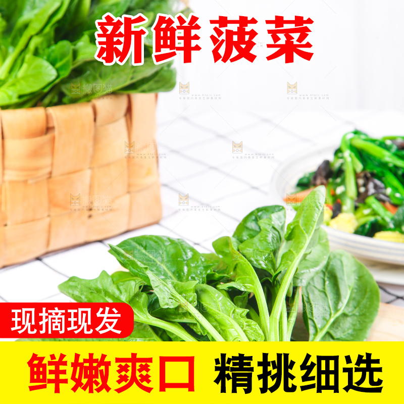 白格子底上的嫩菠菜