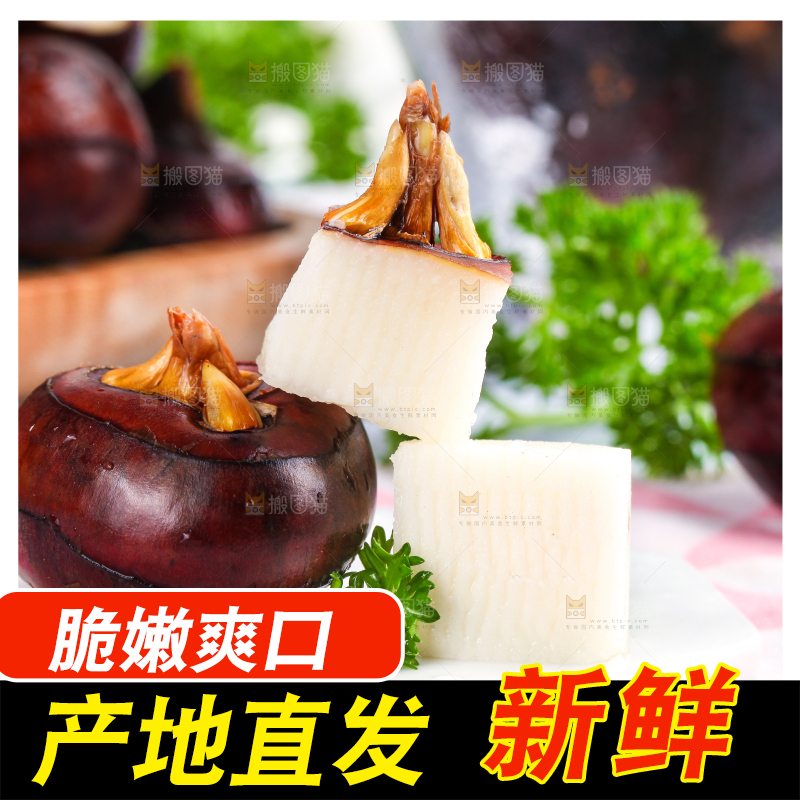 彩底上的马蹄果