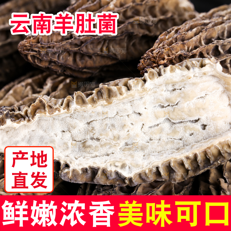 切开的羊肚菌