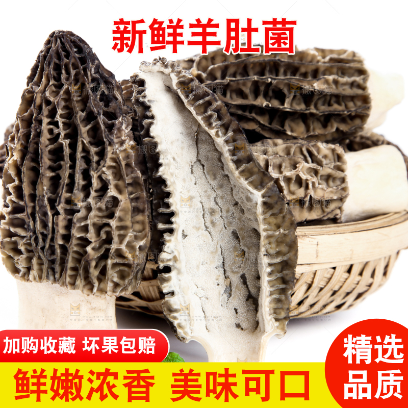 篮子里放着羊肚菇