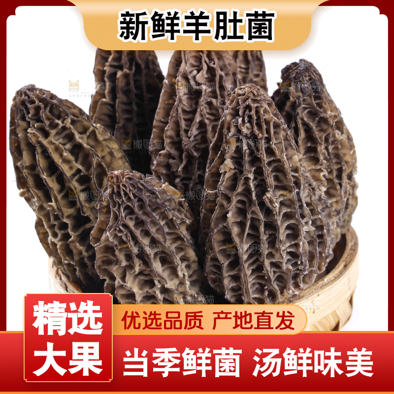 篮子里放着羊肚菇