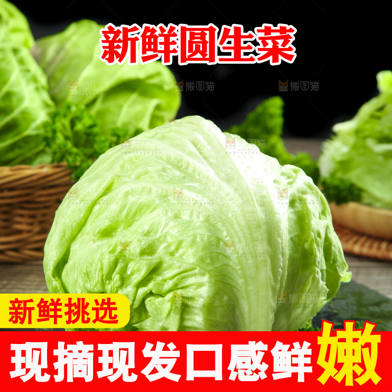 黑石板上放着圆生菜