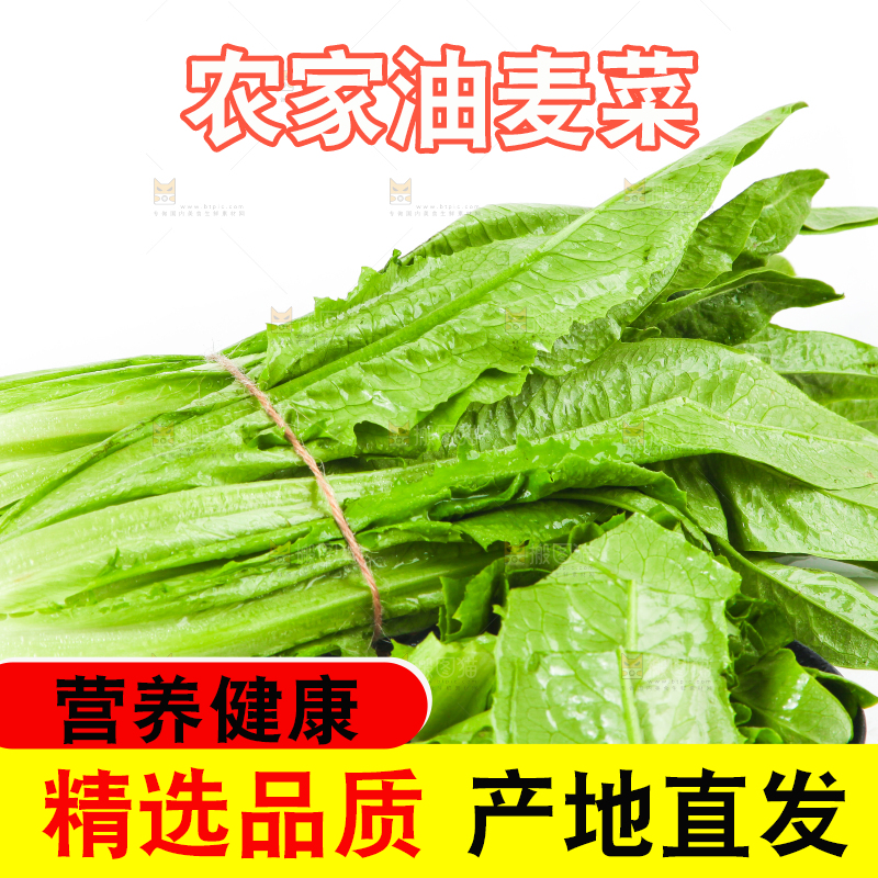 白底上的香麦菜
