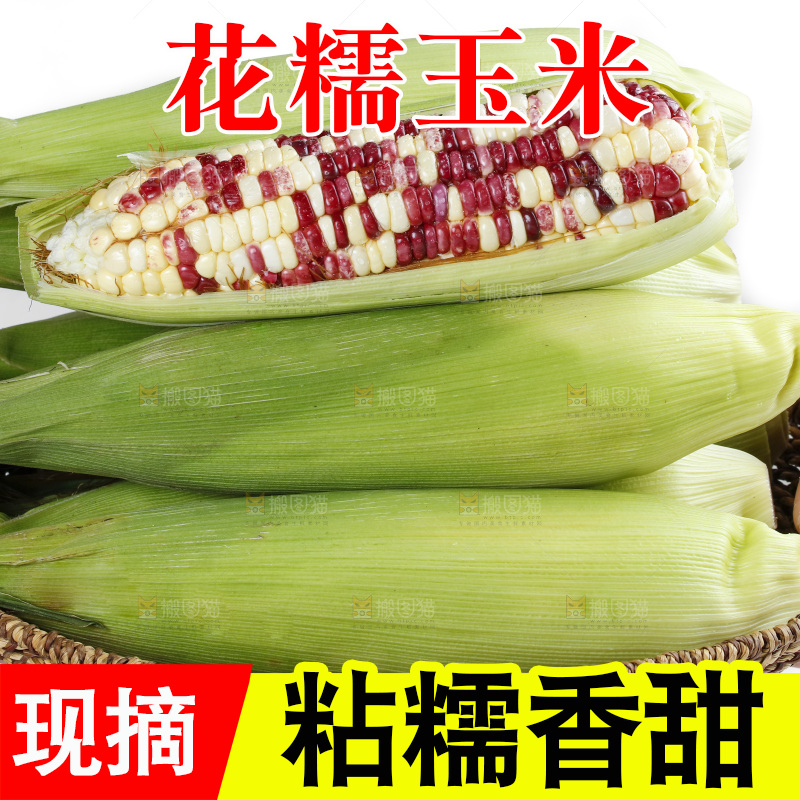 手端一盘花糯玉米