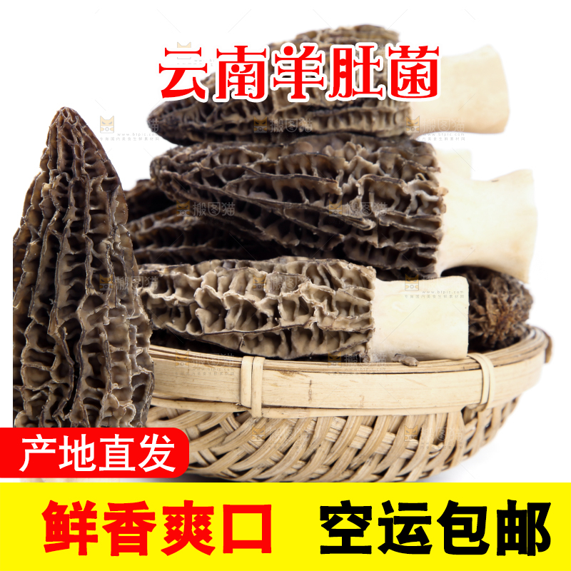 篮子里放着羊肚菇