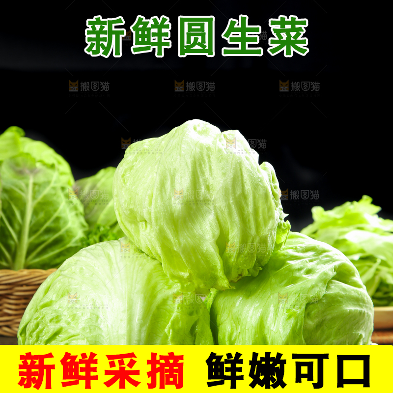 黑石板上放着圆生菜