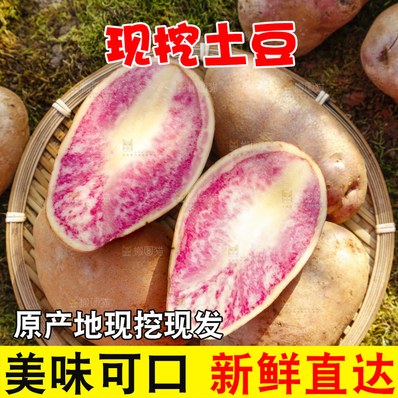 篮子里装着云南红心土豆