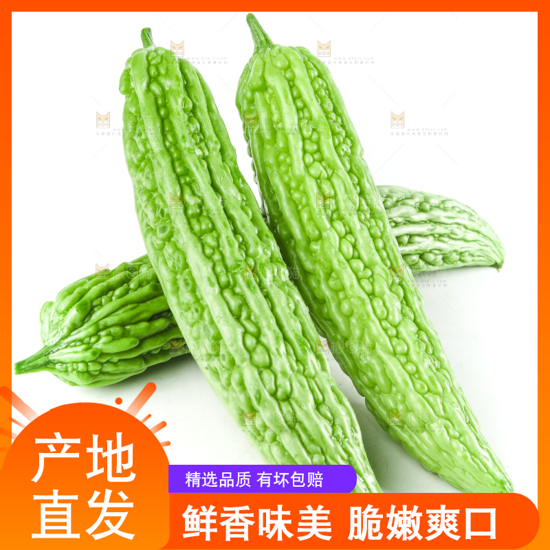白底上摆放着凉瓜
