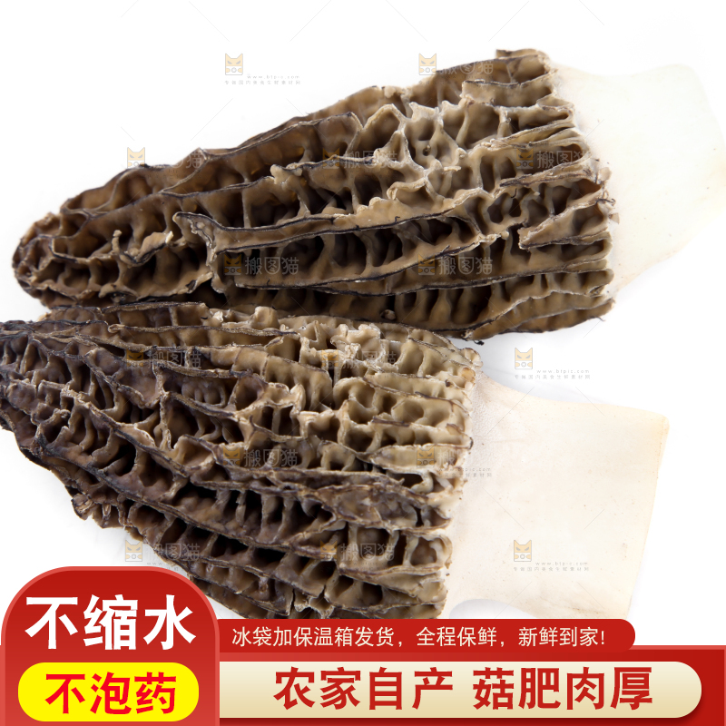 白底上放着羊肚菇