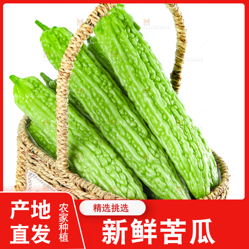 篮子里装着苦瓜