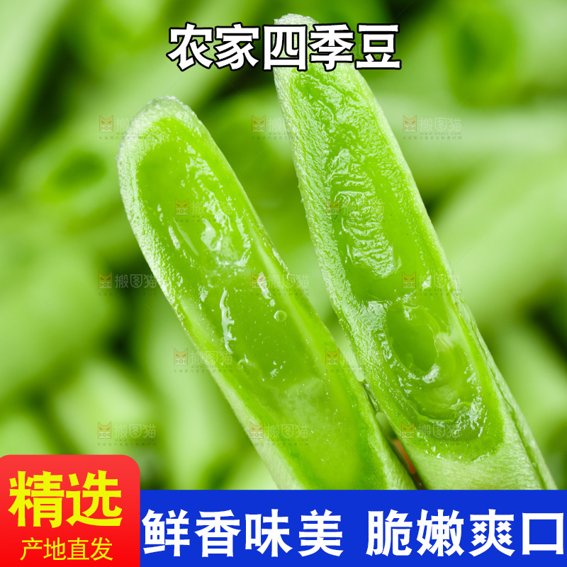 手里拿着豆角