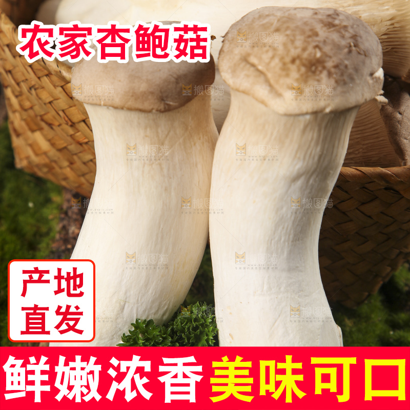 篮子里装着杏鲍菇