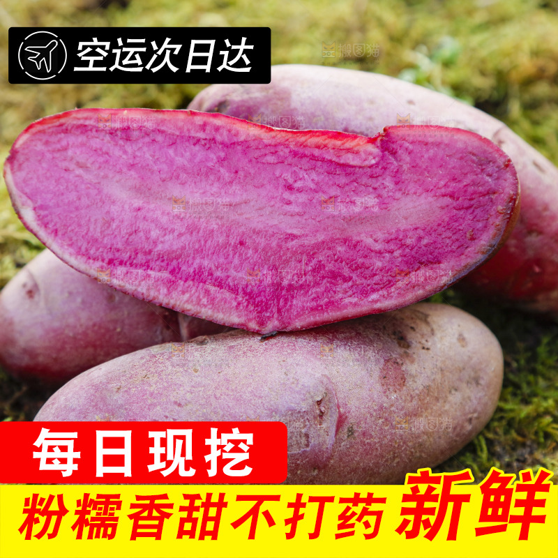 草地上放着红色马铃薯