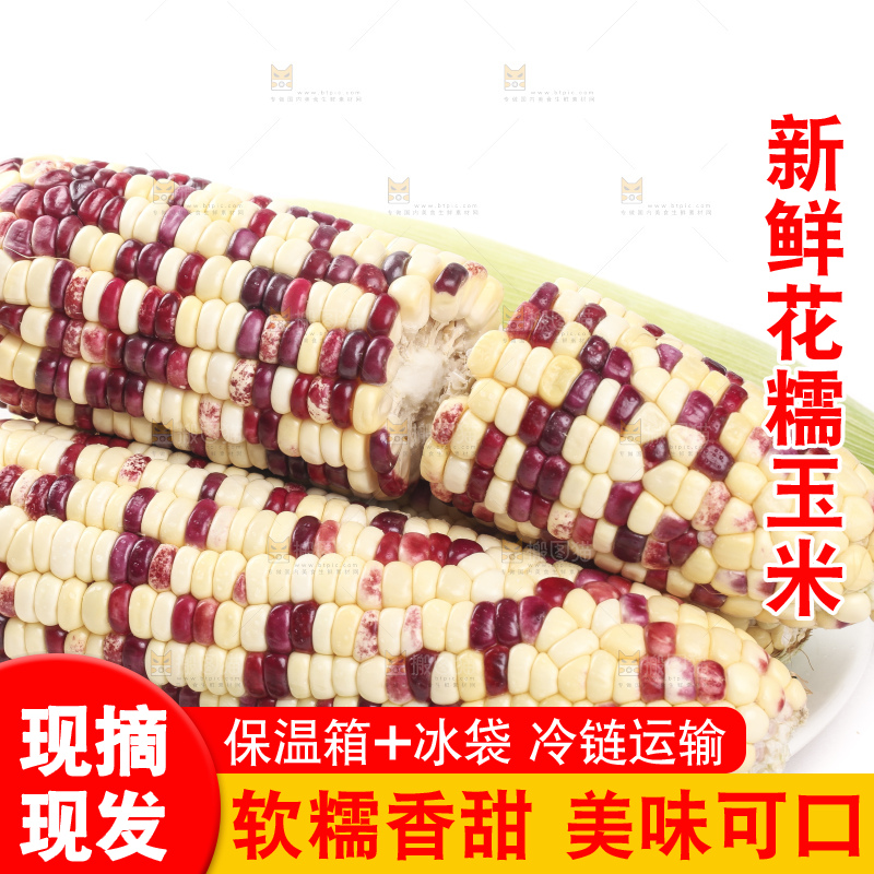 白底上放着一盘糯玉米