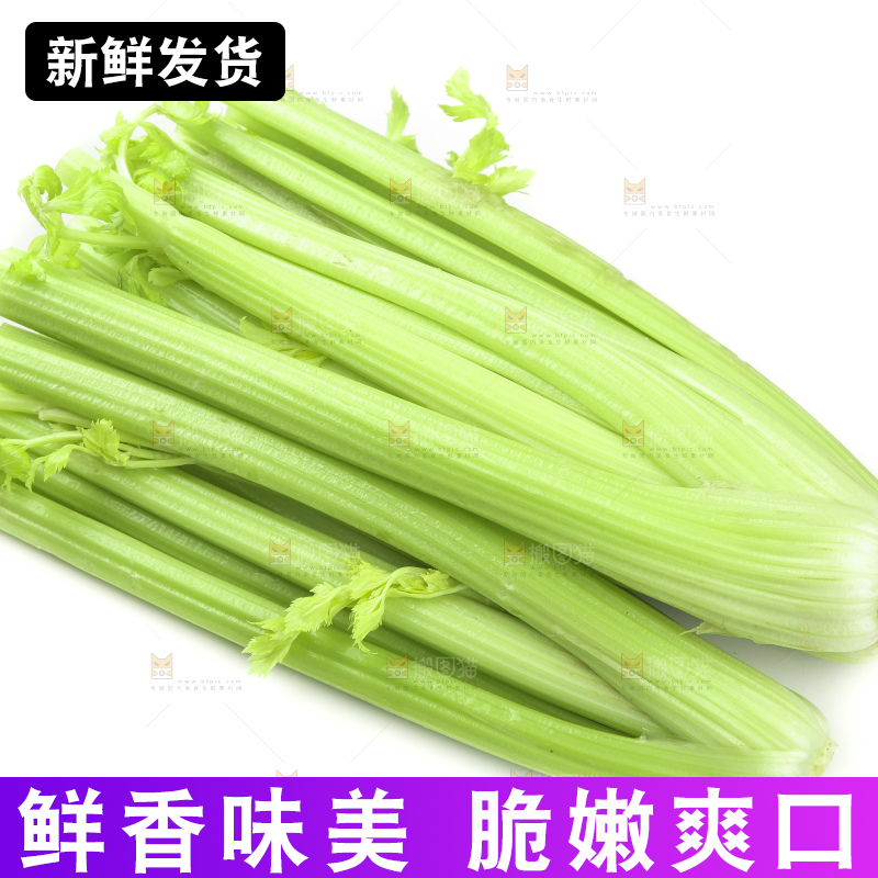 白底上的山东西芹
