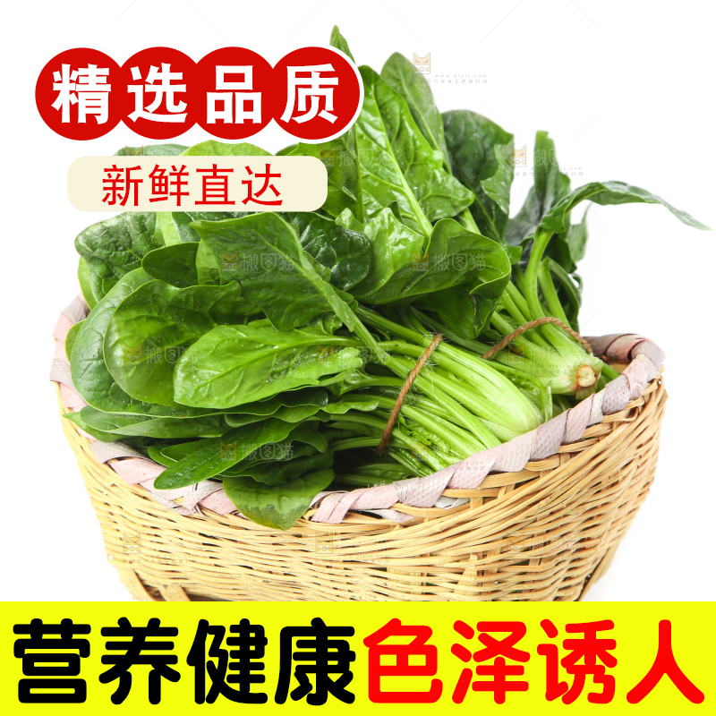 篮子里的红根菠菜