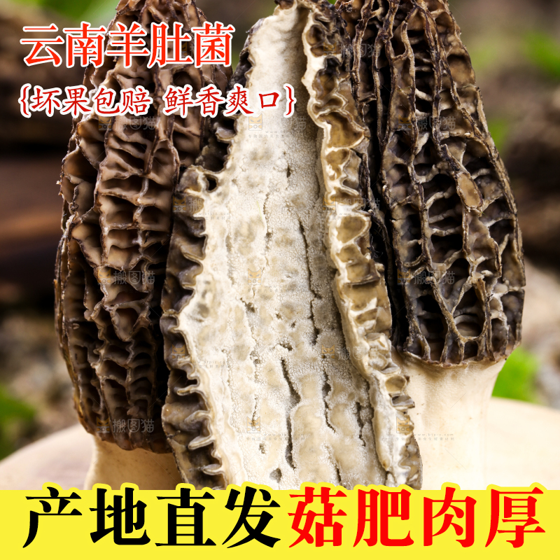 木板上放着羊肚菌