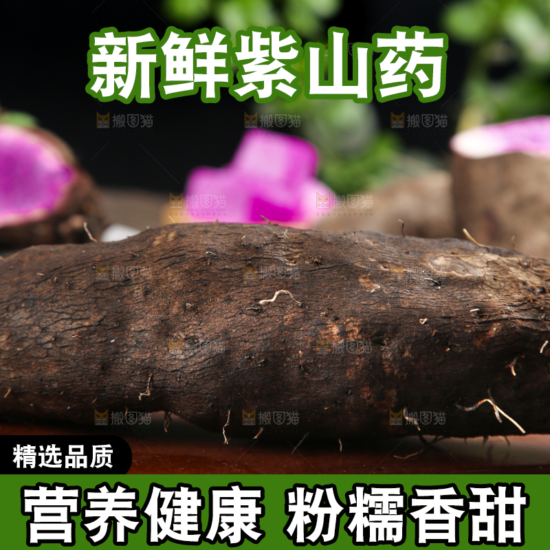 深底上摆放着紫人参