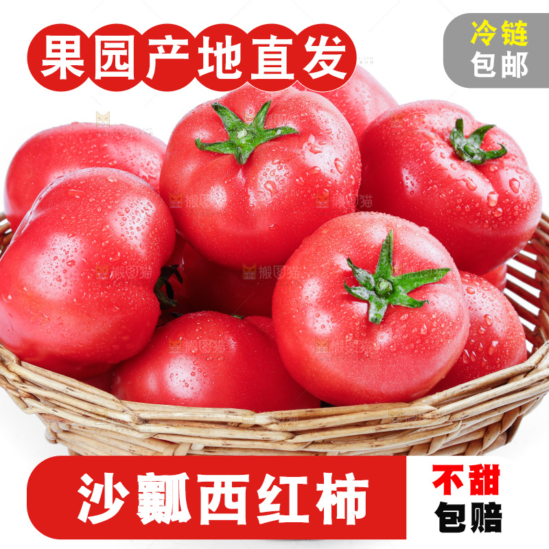 篮子里装着沙瓤西红柿