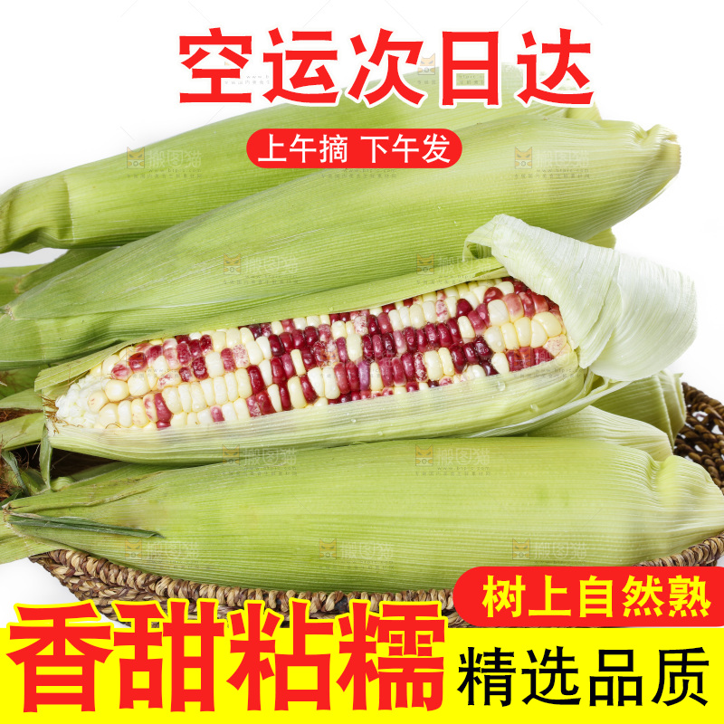 白底上放着一盘花糯玉米