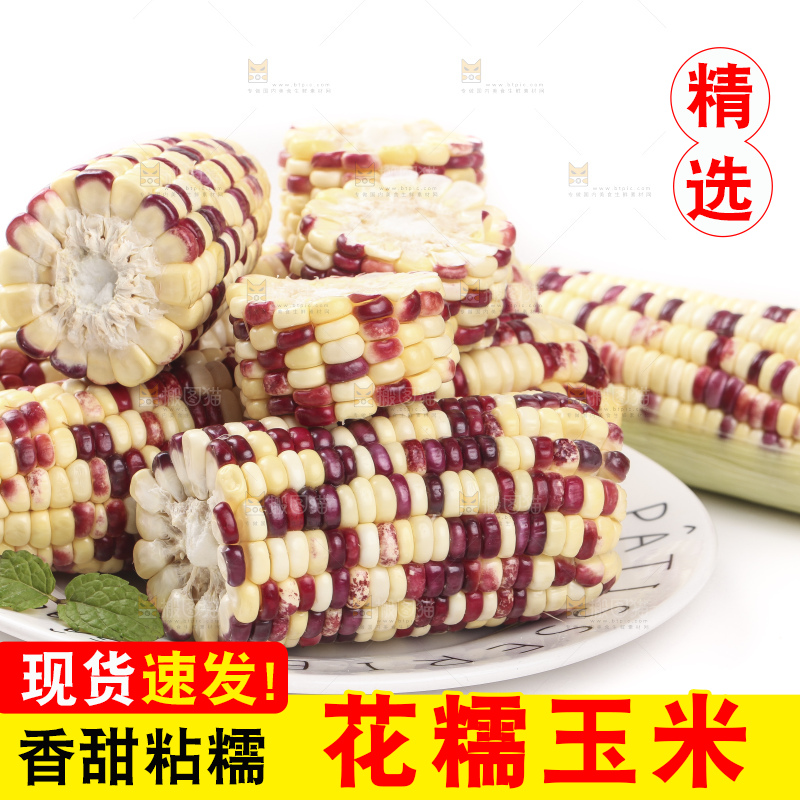 白底上放着一盘糯玉米