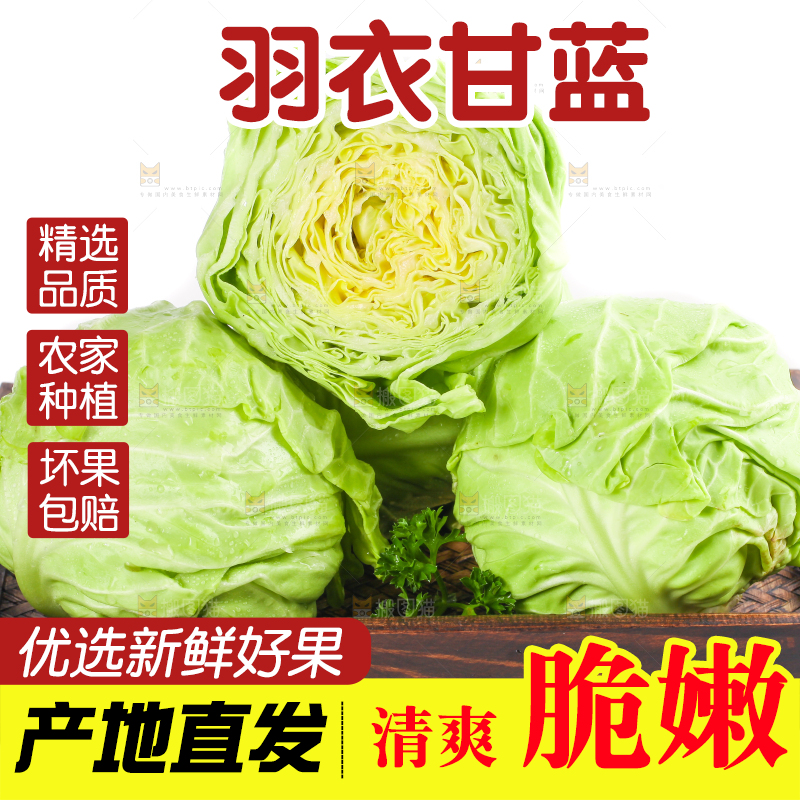 篮子里装绿甘蓝