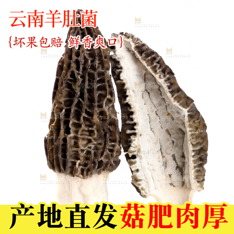 白底上放着羊肚菇