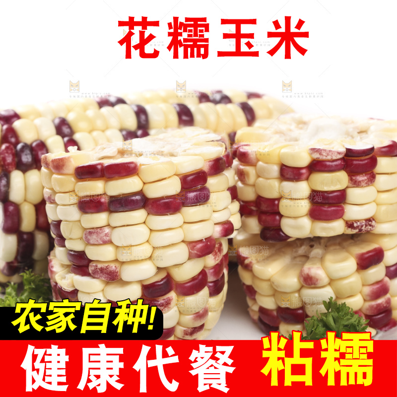 白底上放着一盘糯玉米