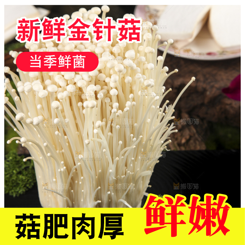 黑石板上的金针菇