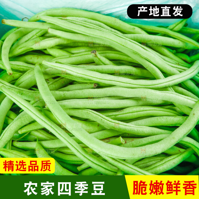 袋子里装着四季豆