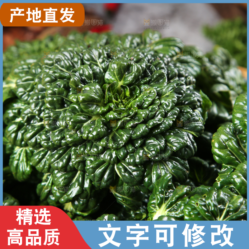 篮子里装着乌塌菜