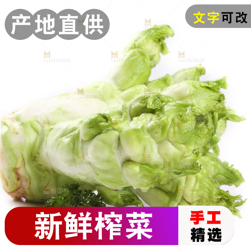 白底上的大头菜疙瘩