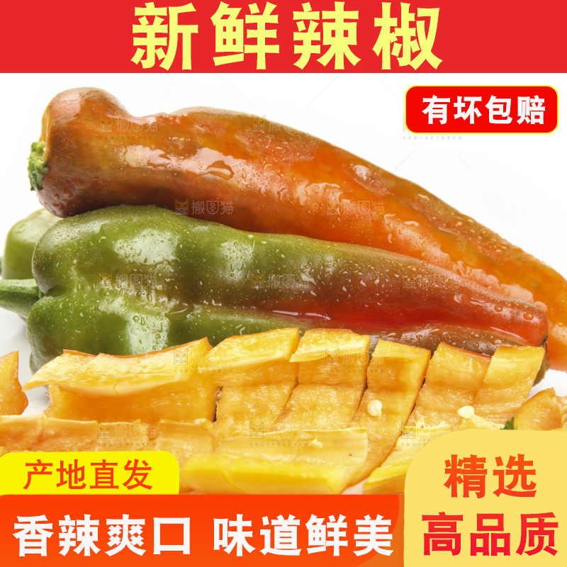 白底上的彩色辣椒