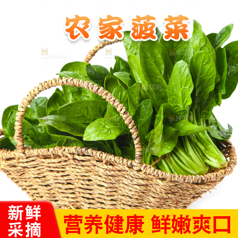篮子里的红根菠菜