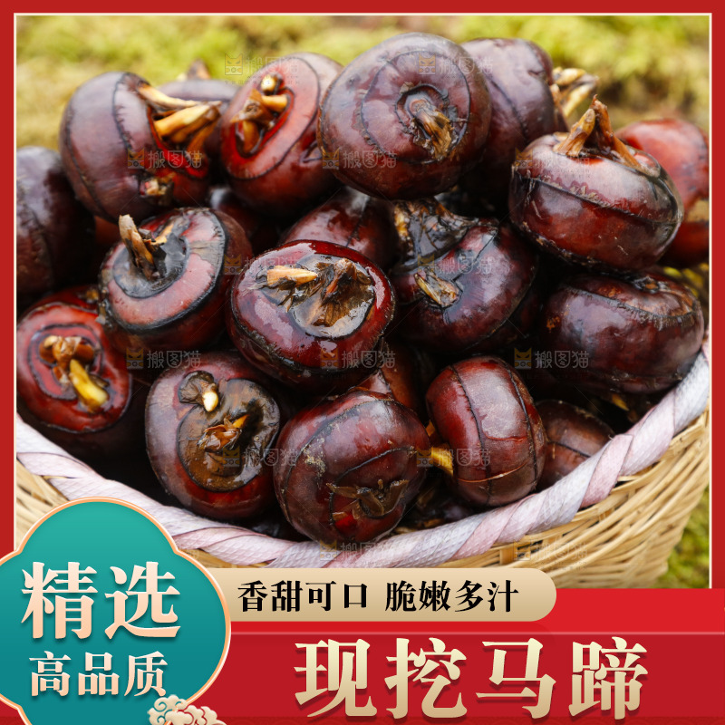 篮子里装着广西马蹄