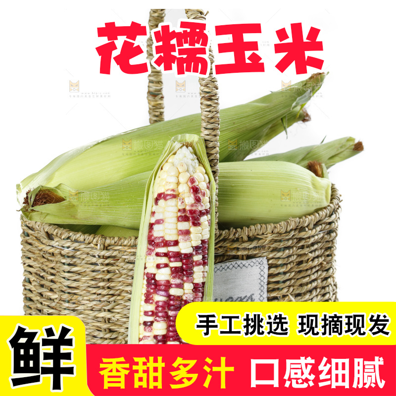 白底上放着剥皮的花糯玉米