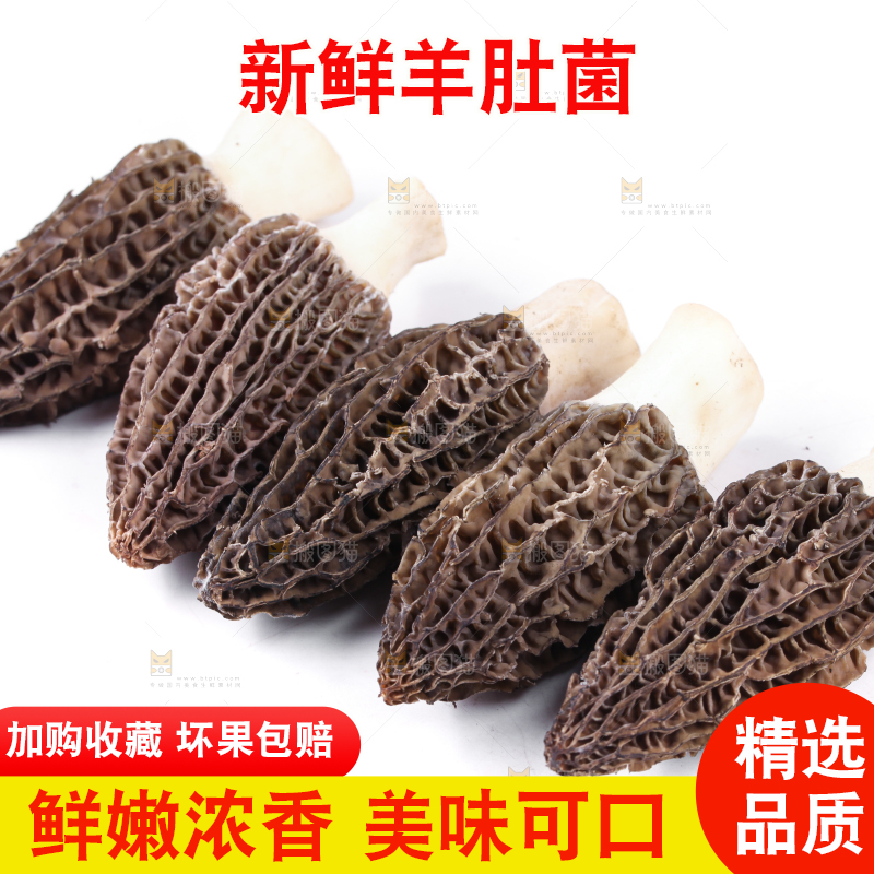 白底上摆放着羊肚菌