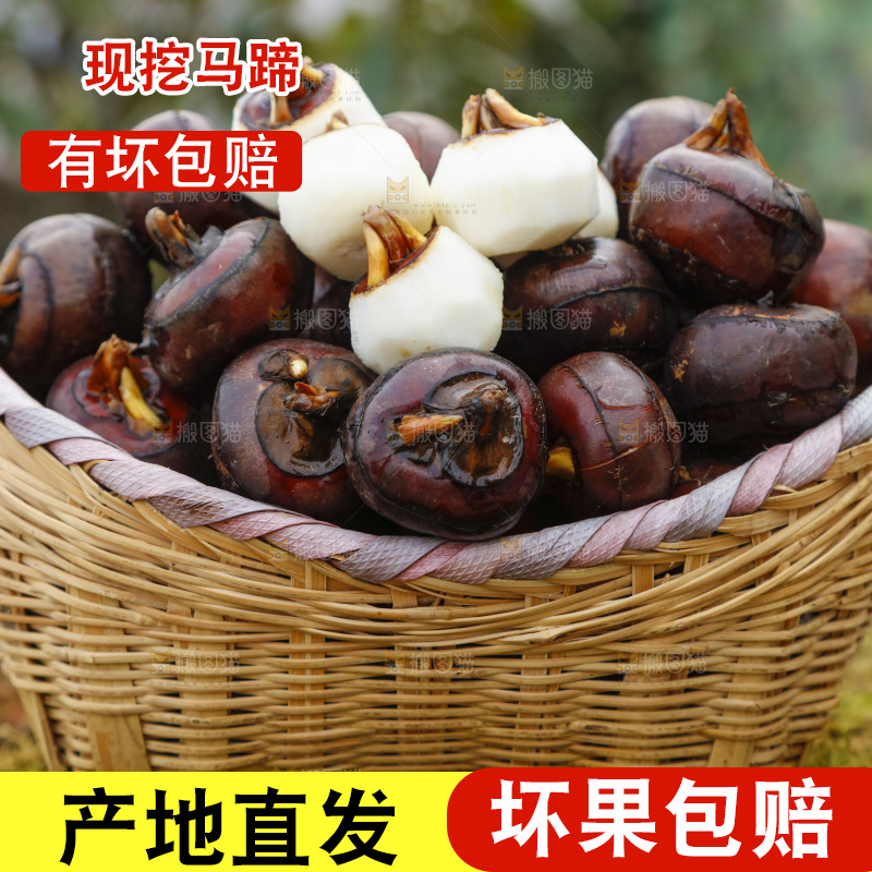 篮子里装着广西马蹄