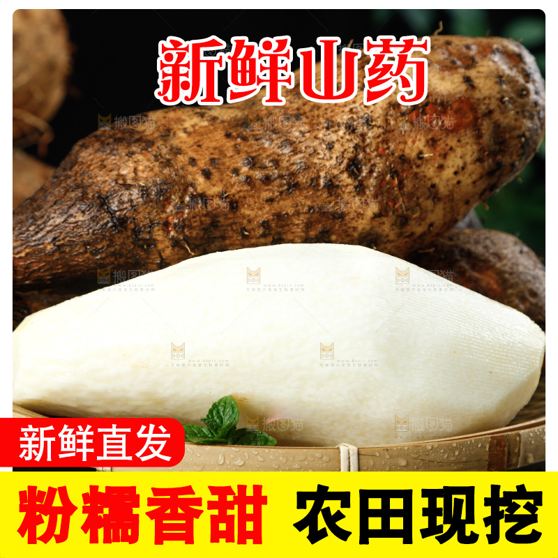 黑底上的金秤砣山药