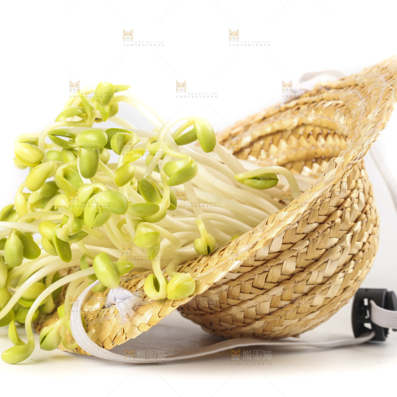 白底上的豆芽