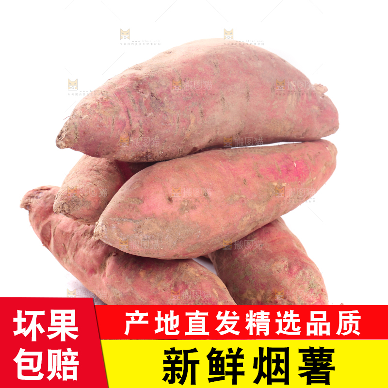 白底上蜜署