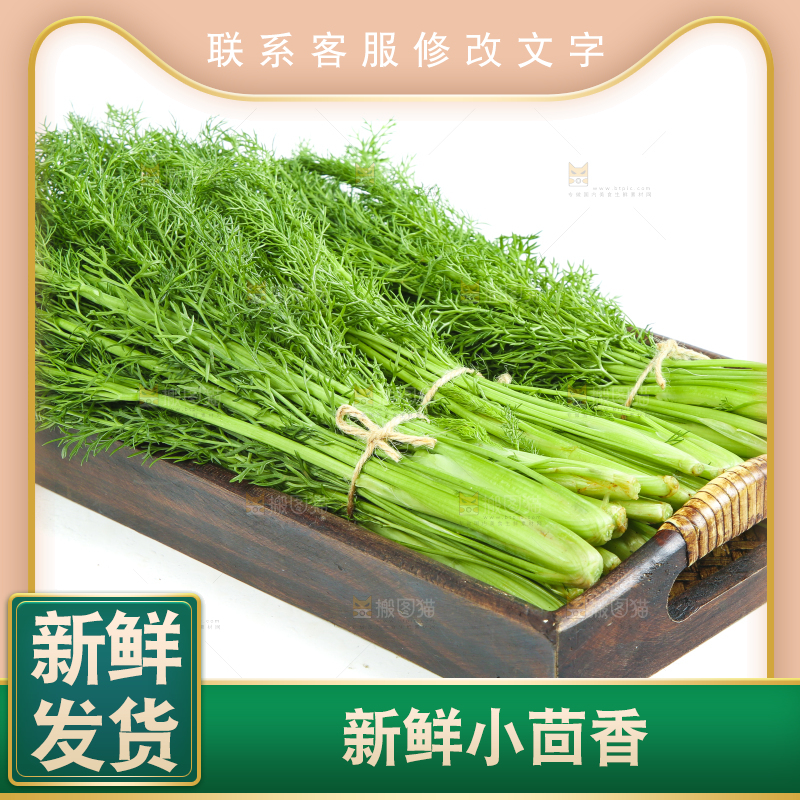 白底上放着小茴香